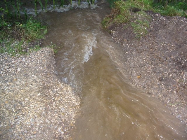 Hochwasser 2010